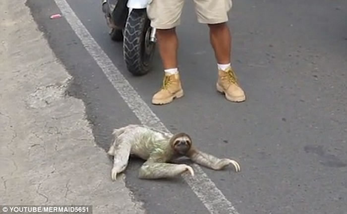 ��˹������������й���·��ɶ³�