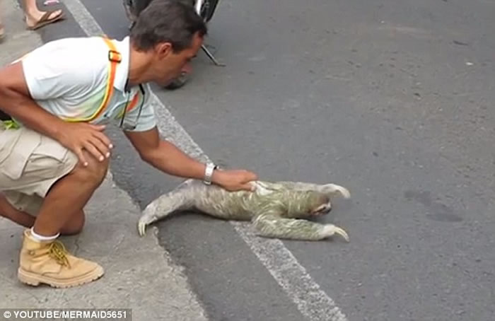 ��˹������������й���·��ɶ³�