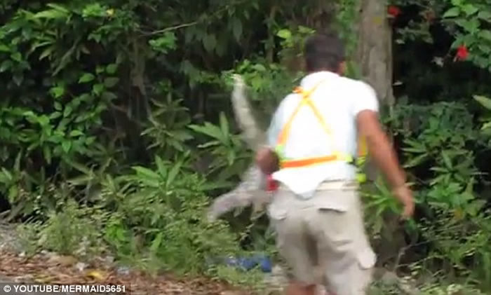 ��˹������������й���·��ɶ³�