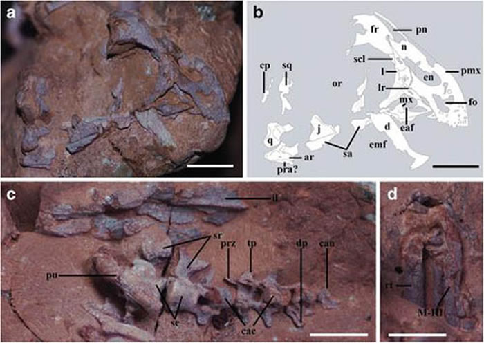 Ե̥ʯŴͼ1ףIVPP V20182˸ͼ