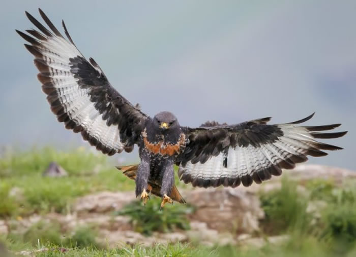 ������׽�����\�ɽ�һ�̡�