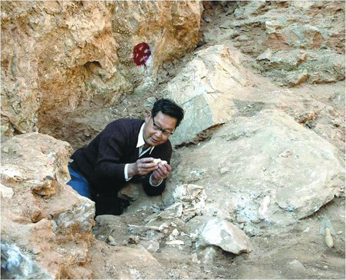 工作中的吕遵谔先生