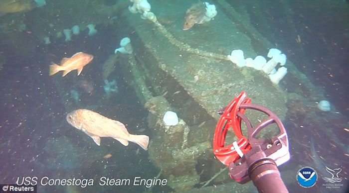 ����95��ǰ����������������ʷ�мӺš� �⿪��ʷ����