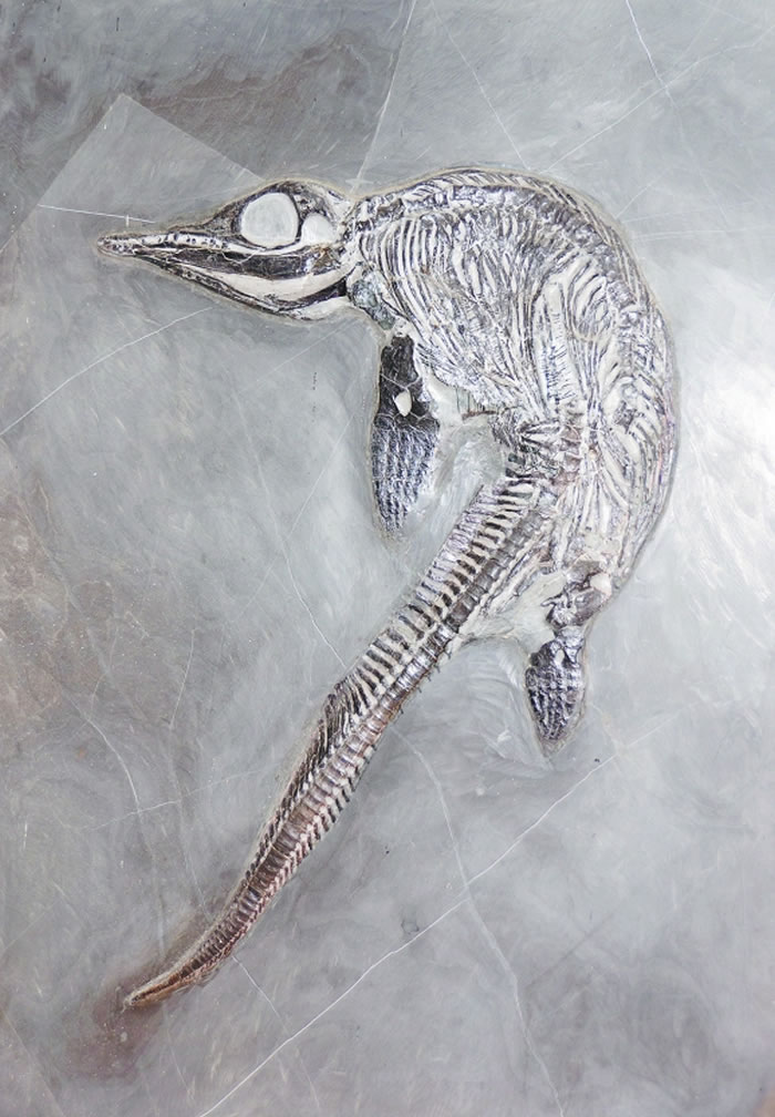 ��Ȧ�����ﻯʯ