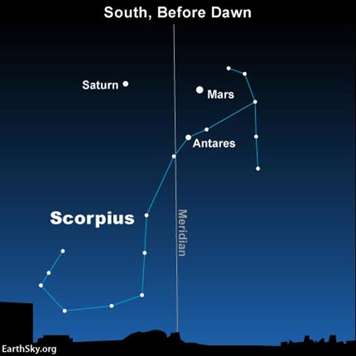 2016��4��17��ӫ�����ģ�������