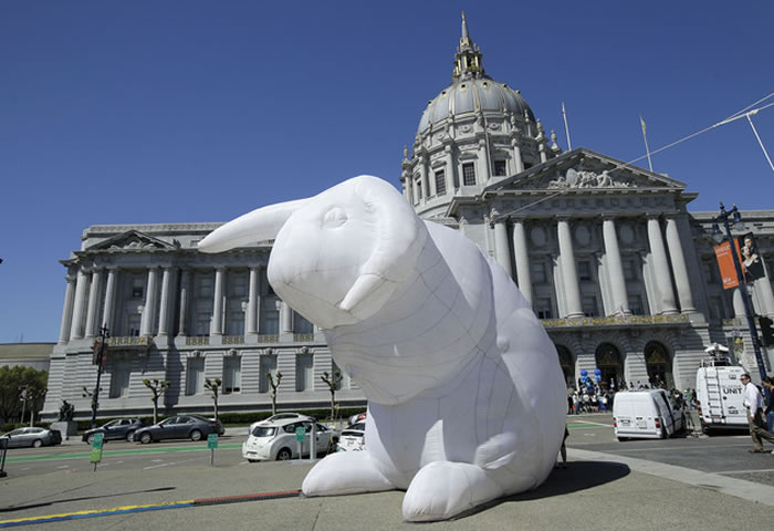 澳洲艺术家创作的艺术品《入侵》(Intrude)揭示野兔对自然环境的影响