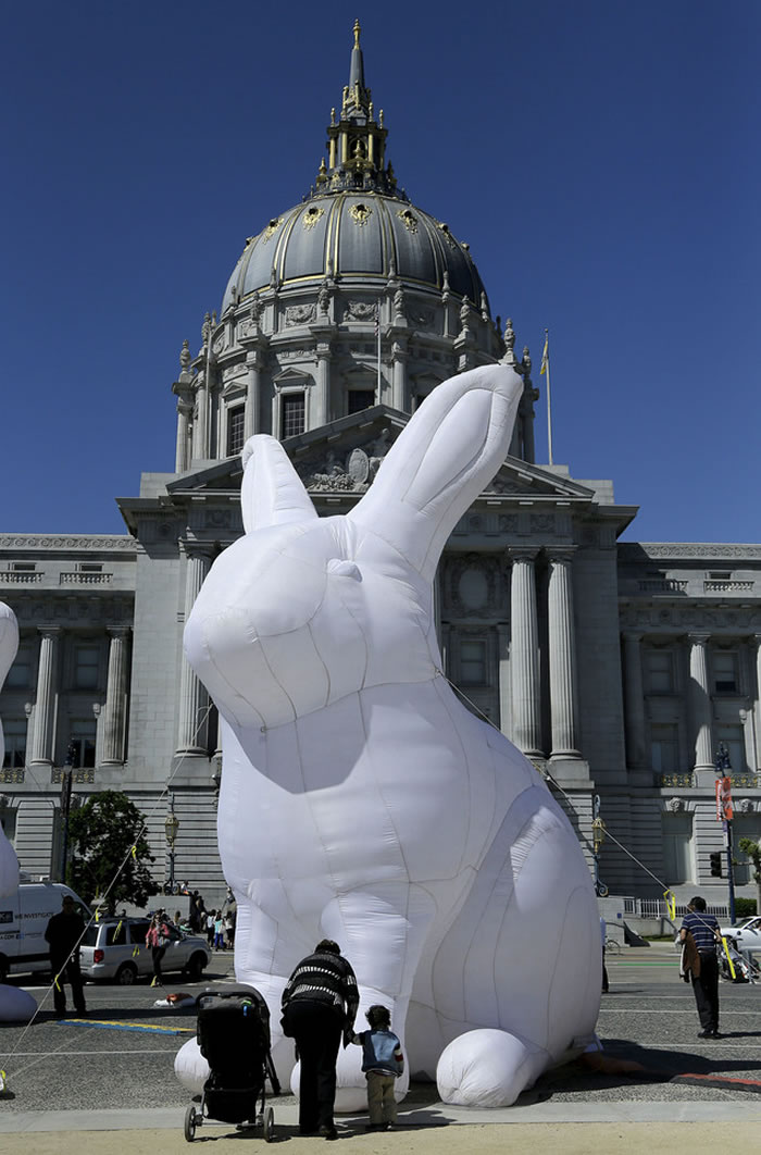 澳洲艺术家创作的艺术品《入侵》(Intrude)揭示野兔对自然环境的影响