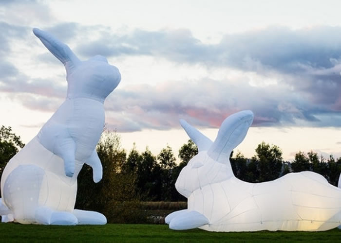 澳洲艺术家创作的艺术品《入侵》(Intrude)揭示野兔对自然环境的影响