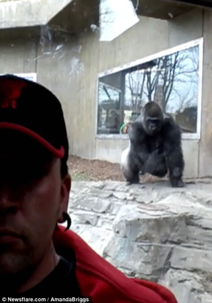 �������ӵ�����԰���������� ����������ͻȻ����������