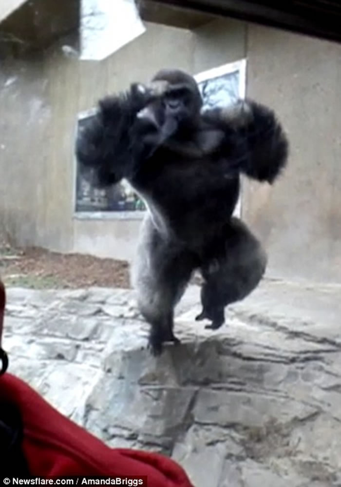 �������ӵ�����԰���������� ����������ͻȻ����������