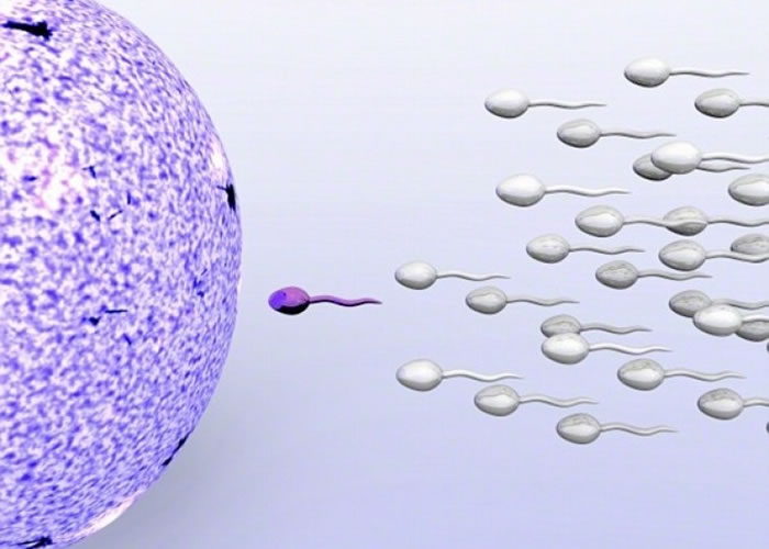 ����ҽ���о�����������Ĭ˹����ᡱ�ɹ��о����Ա�����Vasalgel