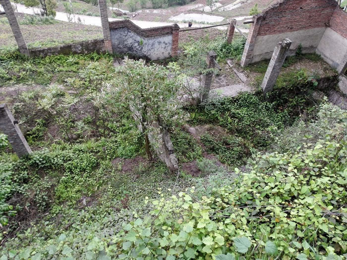 四川省宜宾市珙县石碑恐龙化石群遗址亟须加强保护