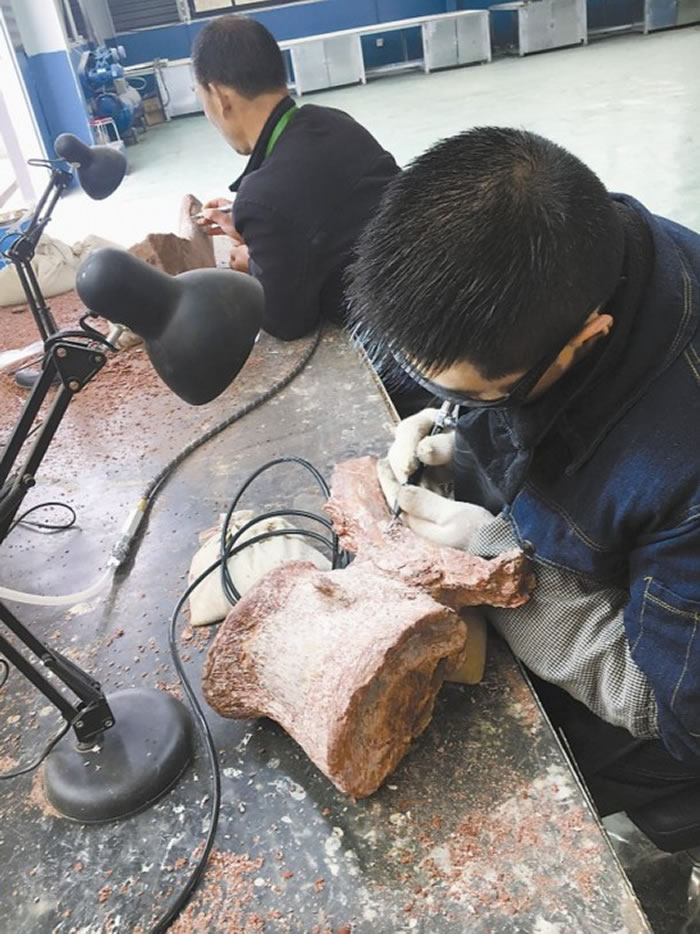 技师用细细的枪头清理化石