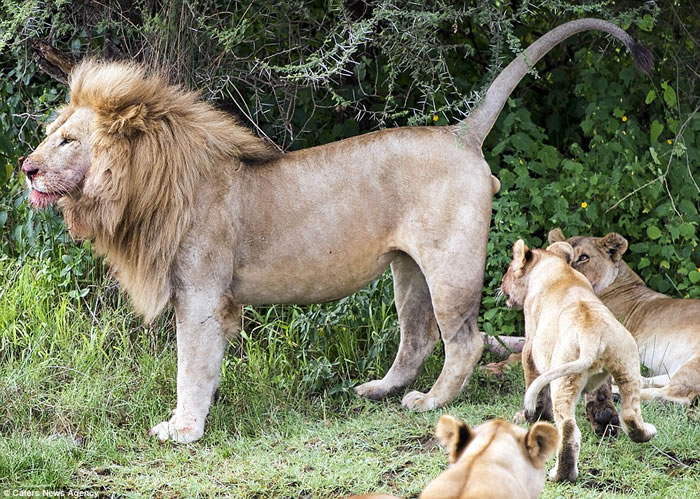 ʨӰְվڲݴԱ СʨӺ汻