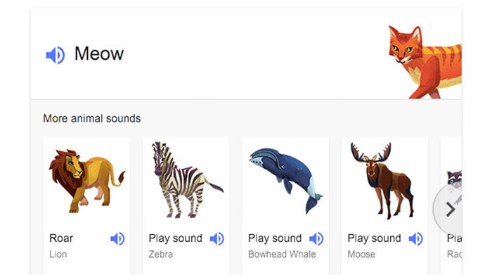 Google隐藏的新功能:只要输入animal noises、animal sounds就能听到动物叫声