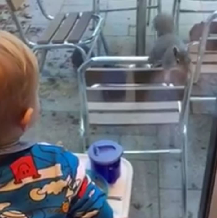 Ӣ�����������ڸ����ӳԷ� �����������ߴ����������ڡ���ʳ��ȴײ�ϲ�����