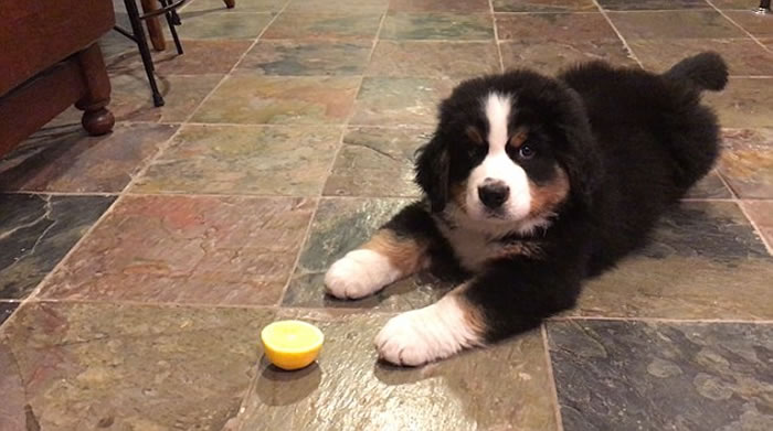 ����������㵽ʮ�ָ�Ц�ġ�������ս���ʡ�Ƭ��