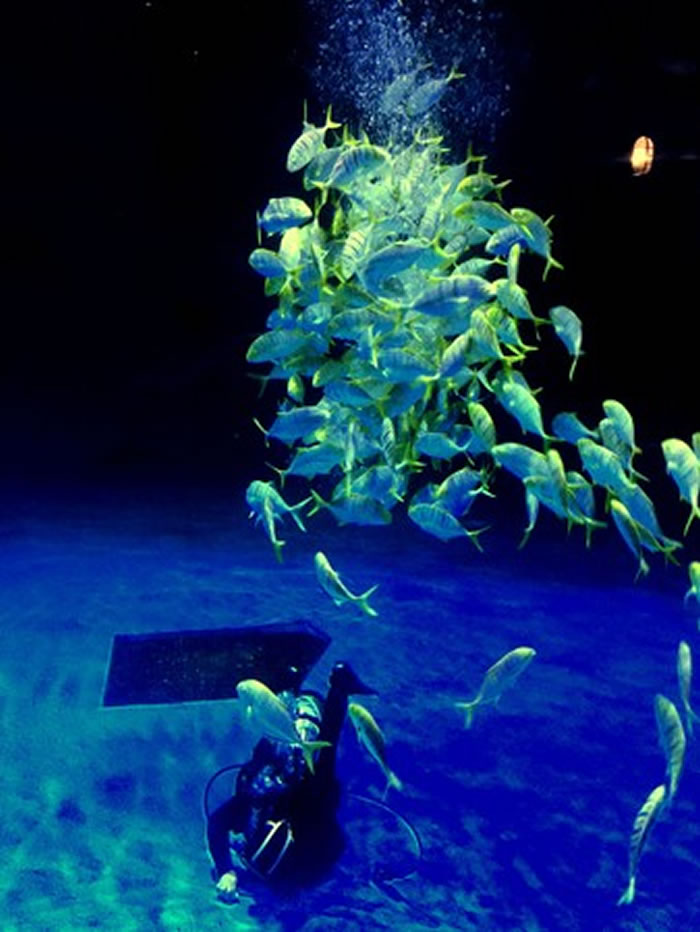 ��������С��Ϊ��û���Ե����ƽ��������и����ϴ��ǻ�