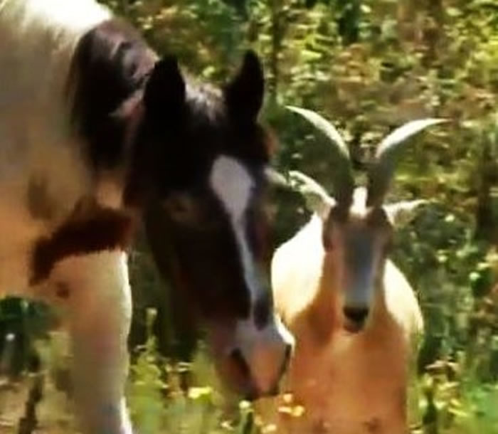 ��ɽ��Ϊä���������Ѵ�·16��