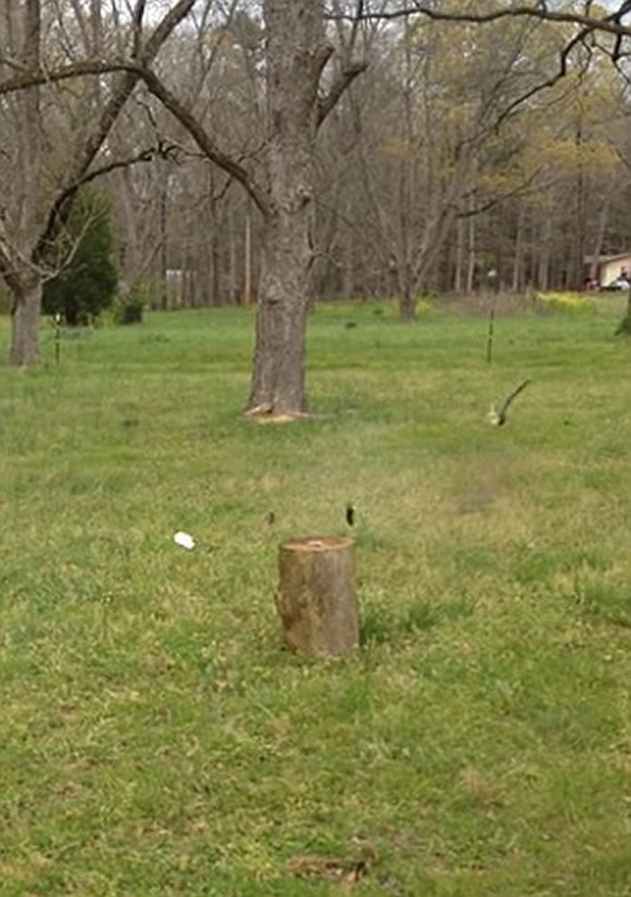 ������������������Ů�����ֻ���������ǹ���������3��iPhone�͵�����