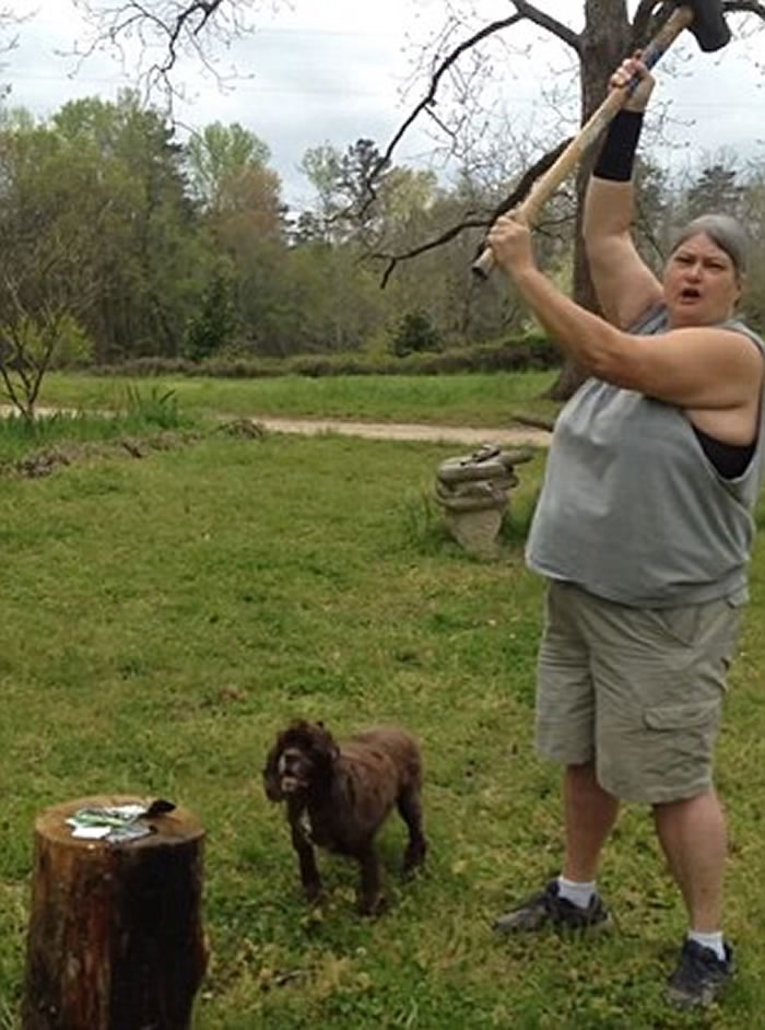 ������������������Ů�����ֻ���������ǹ���������3��iPhone�͵�����