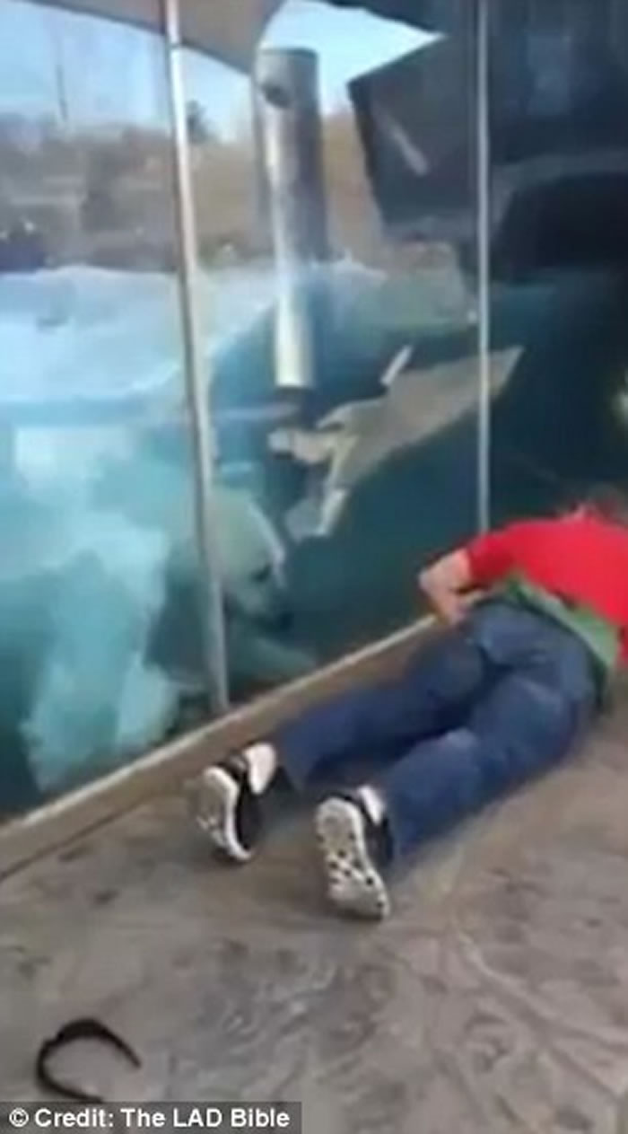 Ӣ���ո�����ԭҰ����԰������ѧ�ο�������ͦ��