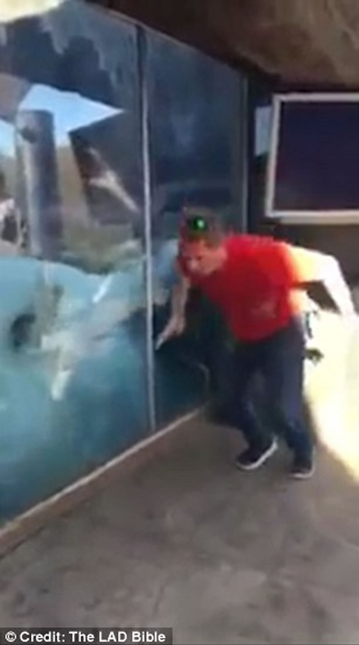 Ӣ���ո�����ԭҰ����԰������ѧ�ο�������ͦ��