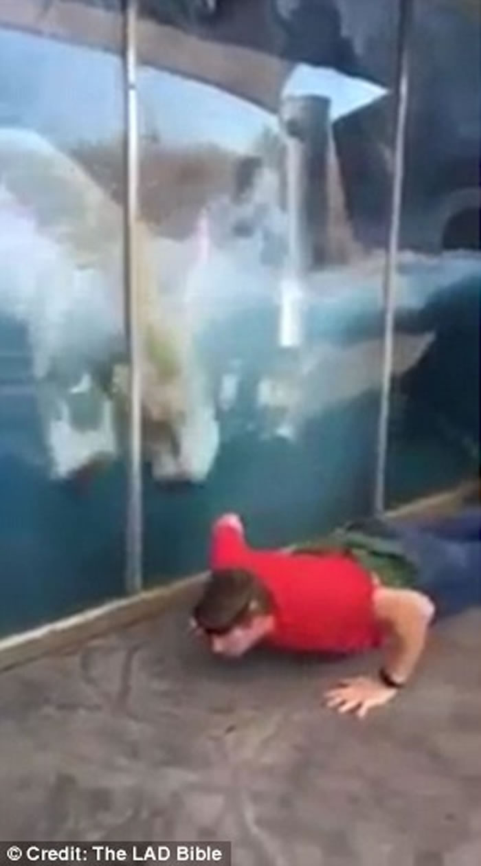 Ӣ���ո�����ԭҰ����԰������ѧ�ο�������ͦ��