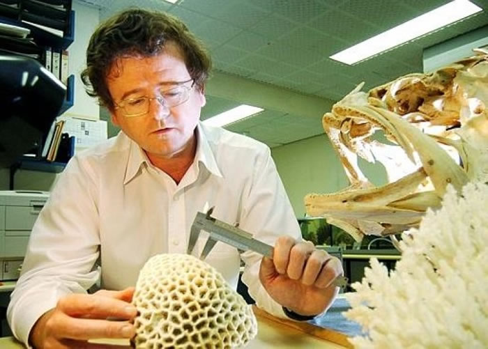 休斯预料大堡礁有一半珊瑚将会死亡。