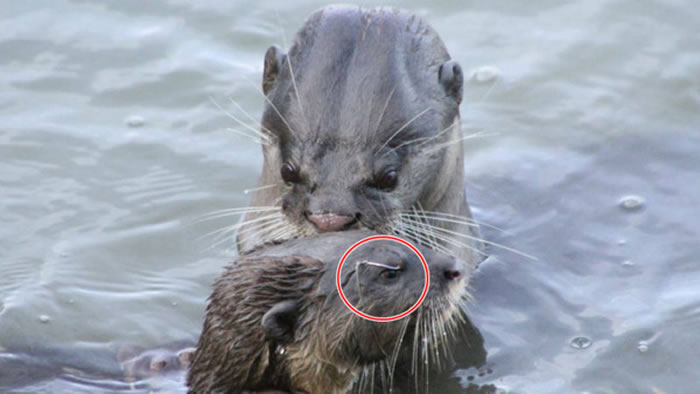 �¼��µ���Υ��������Сˮ̡���㹳�ݲ�����