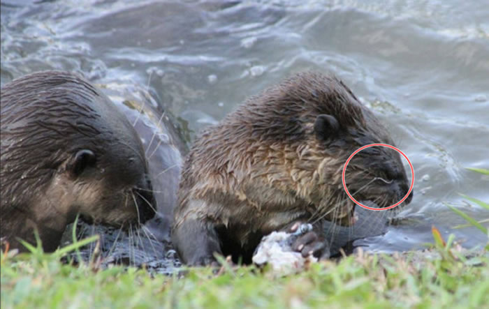 �¼��µ���Υ��������Сˮ̡���㹳�ݲ�����