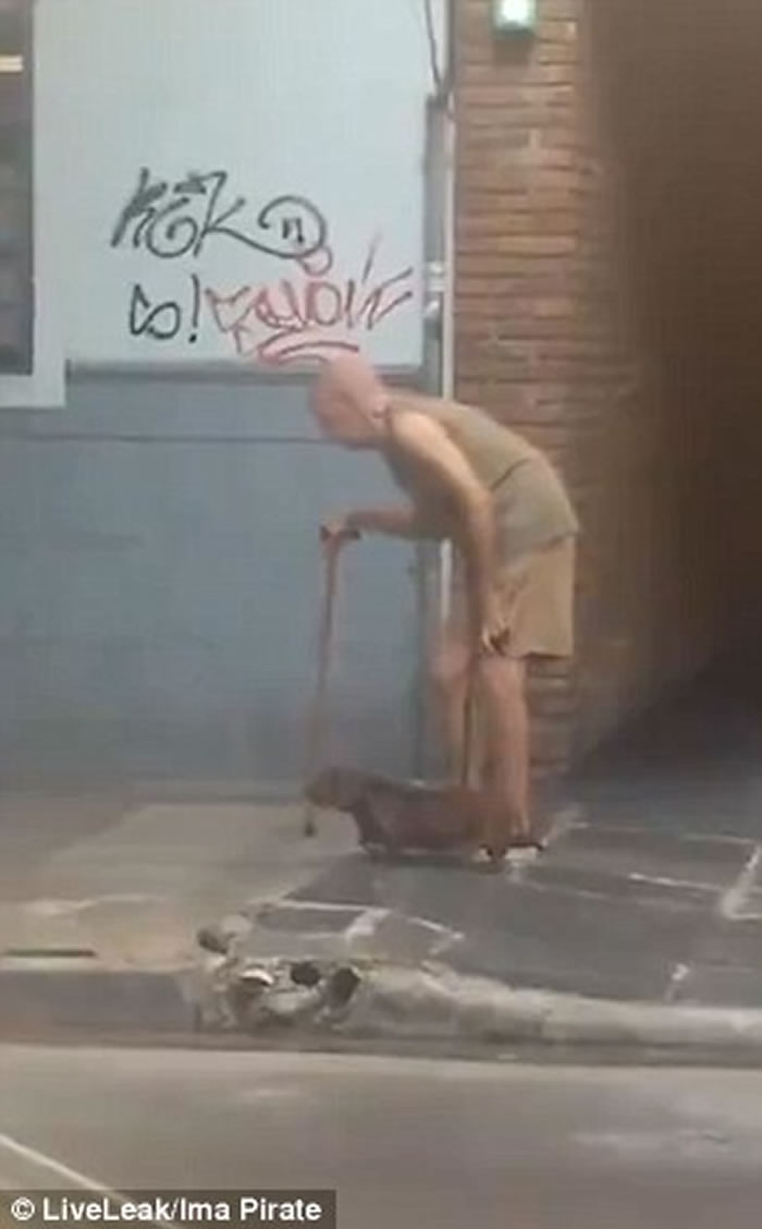 ֪�����������ߵ��� ���������������ġ����������ж�����