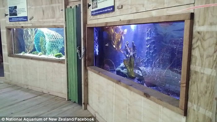 ������ˮ�������Inky���ݡ��̼�2016�������� ������ˮ���ӻش�