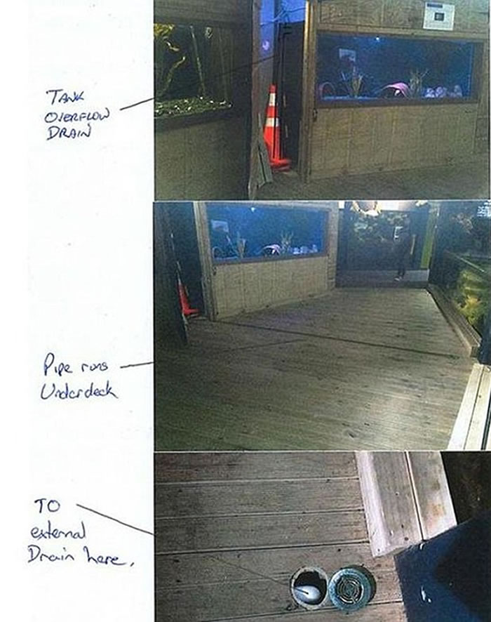 ������ˮ�������Inky���ݡ��̼�2016�������� ������ˮ���ӻش�