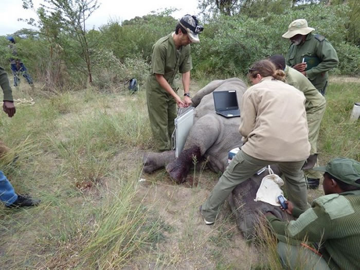 ��ҽΪϬţ������X��ȷ������