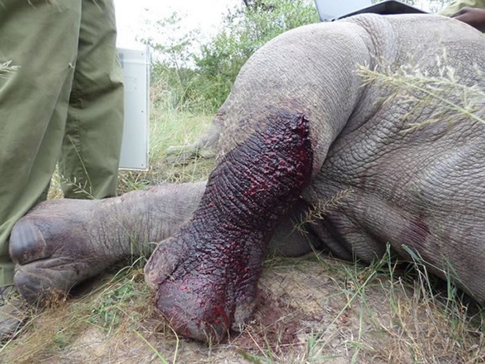 ���ڵ����ߵ�׷���б��ӵ����н�