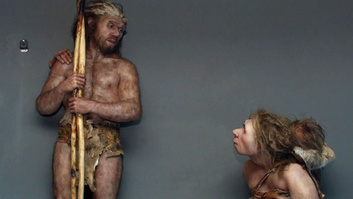 加拿大研究指人类一夫一妻是怕因滥交造成的性病可能引发大灾难