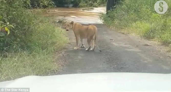 Ӱʦݵסʨȥ· ʨӱٲδ