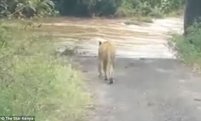 Ӱʦݵסʨȥ· ʨӱٲδ