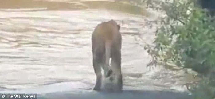 Ӱʦݵסʨȥ· ʨӱٲδ