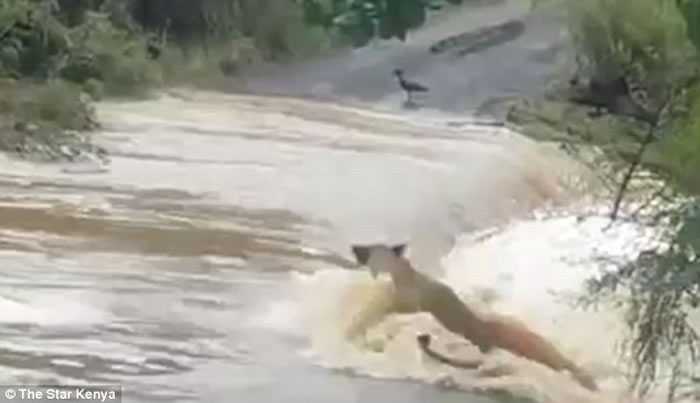 Ӱʦݵסʨȥ· ʨӱٲδ