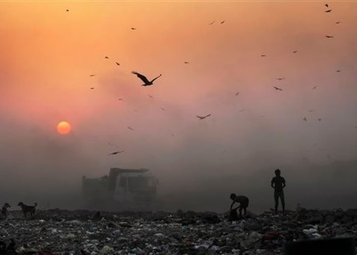 古迪纳夫认为,气候变化与空气污染无直接关系。