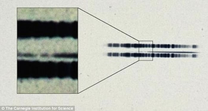卡内基天文台发现的1917年天文玻璃底片或是发现最早系外行星的证据