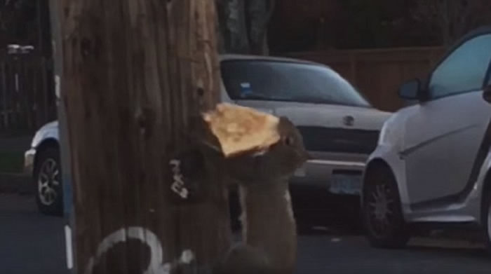 ����������̰������ҧס��鱡�����ϵ��߸���������