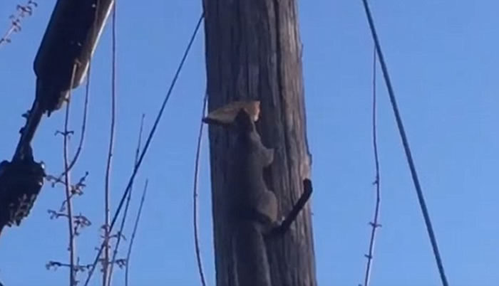 ����������̰������ҧס��鱡�����ϵ��߸���������