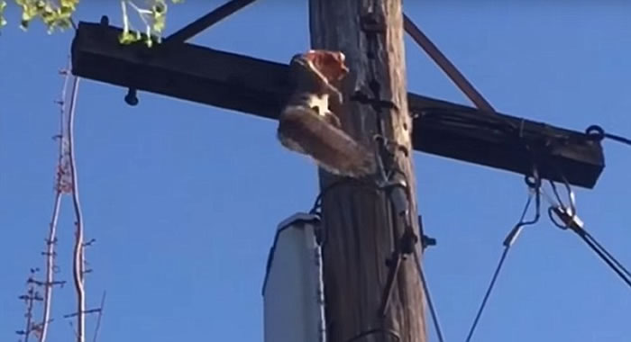 ����������̰������ҧס��鱡�����ϵ��߸���������