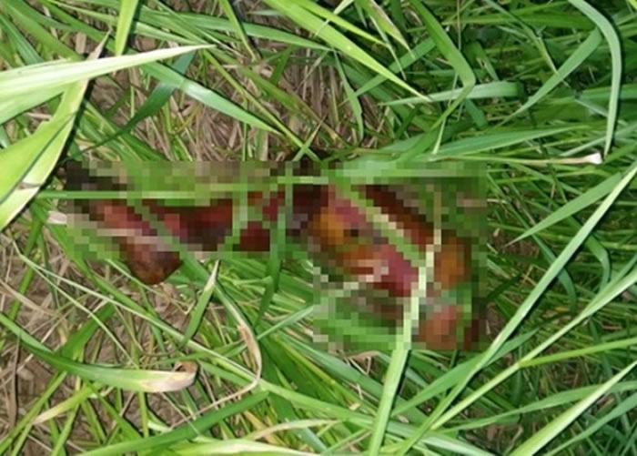 当局在现场一带发现人体残肢。