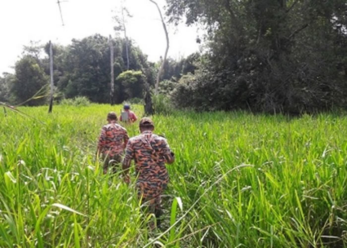 当局派人搜索。