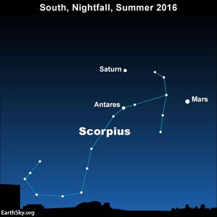 ����˵��ӫ�����ġ���ʵ�ǡ���