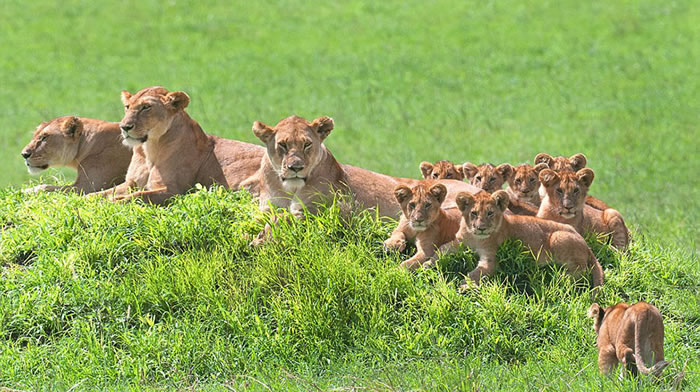 ̹ɣ׸ҹ԰ʨӼһžͷ